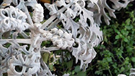 Similar image 21712033