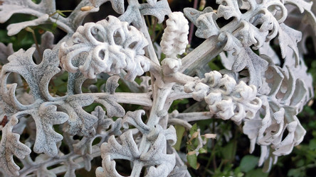 Similar image 21712035