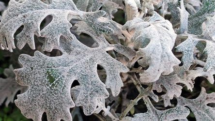 Similar image 21712037