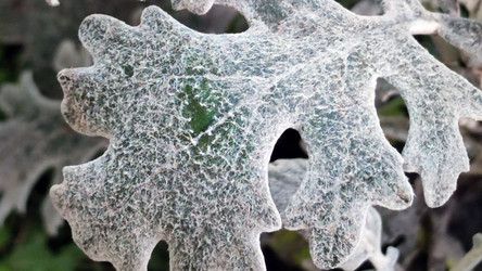 Similar image 21712051