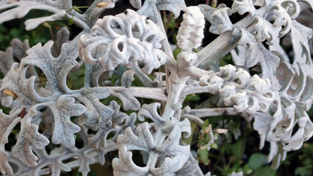 Similar image 21712053