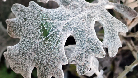 Similar image 21712055