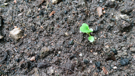 Similar image 21712108