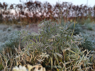 Similar image 21712677