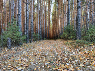 Similar image 21711378