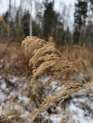 Similar image 21711379