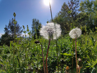 Similar image 21711380