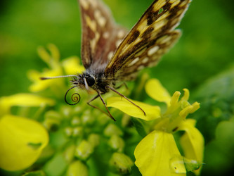 Similar image 21711384