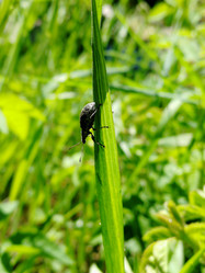 Similar image 21711386