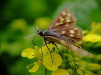 Similar image 21711387