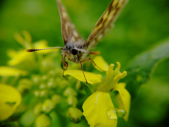 Similar image 21711388