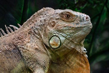 Similar image 21711605