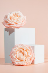 Similar image 21711185