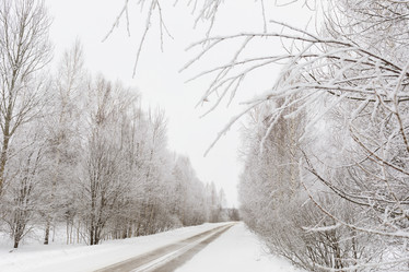 Similar image 21711486