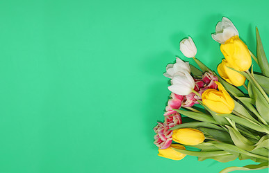 Similar image 21711195