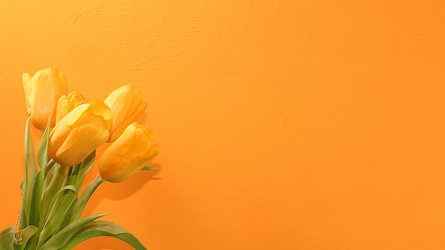 Similar image 21711196