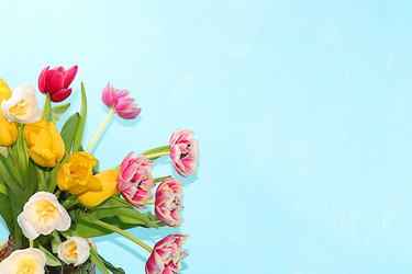 Similar image 21711197