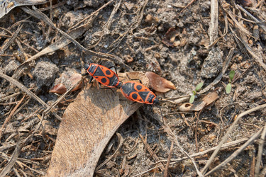 Similar image 21711226