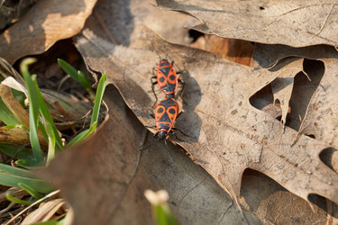 Similar image 21711227