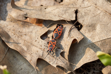 Similar image 21711228