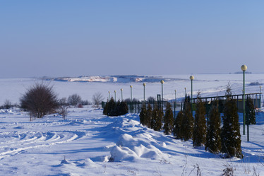 Similar image 21717461