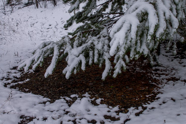 Similar image 21716131