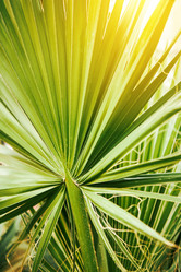 Similar image 21711613