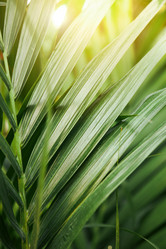 Similar image 21711614