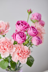 Similar image 21711615