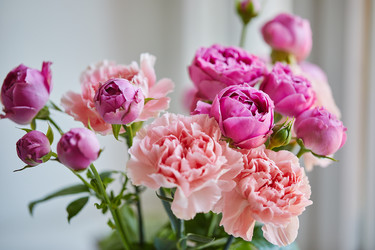 Similar image 21711617