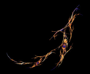 Similar image 21712681