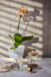 Similar image 21711623