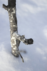 Similar image 21711506