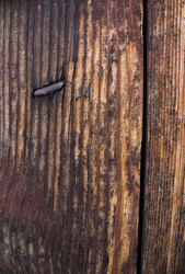 Similar image 21711508