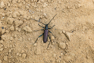 Similar image 21712116