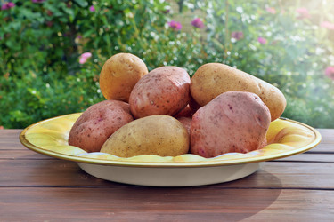 Similar image 21712123