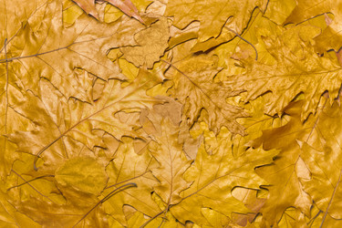 Similar image 21712141