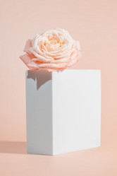 Similar image 21711530