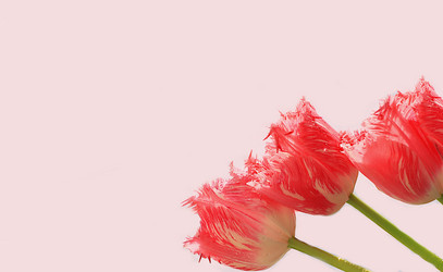 Similar image 21711754