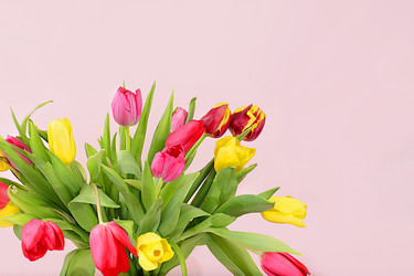 Similar image 21711755