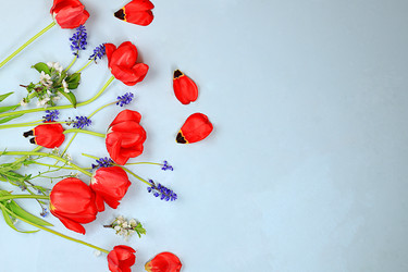 Similar image 21711758