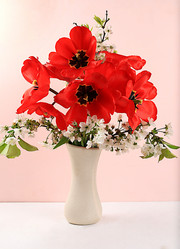 Similar image 21711759