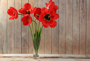 Similar image 21711760