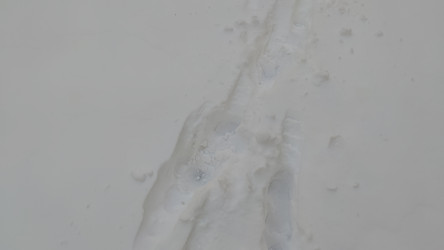 Similar image 21716593