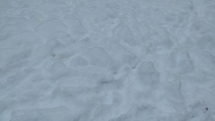 Similar image 21716615