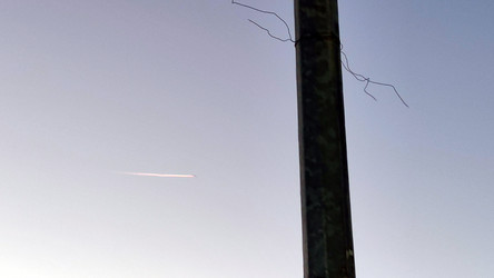 Similar image 21716642