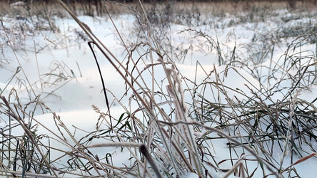 Similar image 21716669