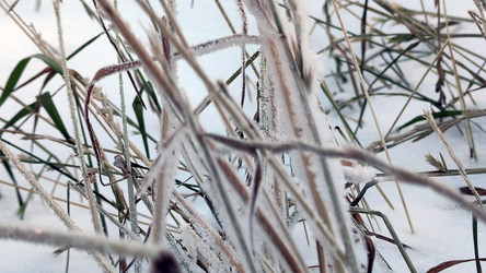 Similar image 21716671