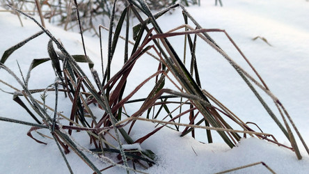 Similar image 21716675