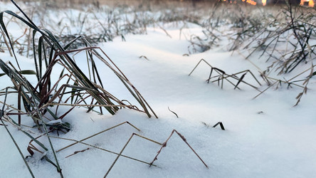 Similar image 21716677